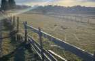 Teren de 4500 mp , zona linistita in Marisel