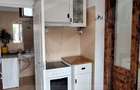 Apartament 1 camera, 45 mp, curte, Cipariu - 4
