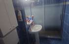 Apartament 4 Cam Splaiul Cri?anei, Proprietar - 7