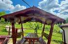 Cabane de vanzare, cu 3 camere, 50 mp, zona Brad - 3