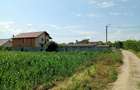 Teren de 4500 mp, în Batiz - 1