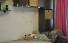 155000 euro-apartament renovat 4 camere semidecomandat la 4-7 minute de: scoala 7, parc, City, piata Brotacei, piata Tomis 3. - 2