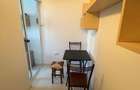 garsoniera 30 mp piata nicolina la strada in statia de tram 300 euro - 11