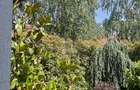 Proprietar vand casa tip duplex in Gradiste - 3