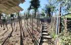 Vanzare casa cu 3 camere in Bardesti, 1600 mp teren - 1