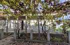 Casa 4 camere + teren 1444 mp ingradit - 7