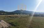 Teren intravilan zona Magus ,PUZ aprobat, Baia Mare, 48 ari - 3
