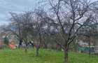 RECO Teren intravilan 4669 mp Dobricionesti cu o priveliste frumoasa