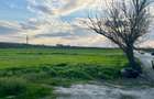 Teren 1.1 Ha Intravilan Sarca Ia?i la E85 E583 DN28 PUZ Aprobat - 5