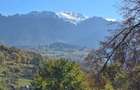 De vanzare casa de locuit/vacanta Bran Poarta - 8