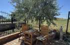 NIBIRU - Beach Please-cazare Casa de vacanta in Tuzla,rulota, cort glamping - 1
