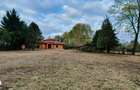 Vila pe malul lacului, 6 camere, Snagov - 3