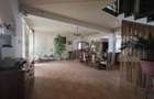 Casa P+M de vanzare, 215 mp, zona Lucian Blaga Satu Mare - 10