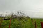 Teren intravilan, 4447 mp, 28 ml deschidere, Pielesti - 4