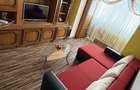 Apartament Baile-Herculane - 5
