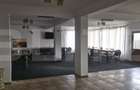 Spatiu comercial, 200 mp, zona Gura Ocnitei - 3