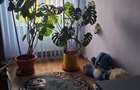 Apartament 3 camere de vanzare