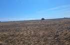 EXCLUSIVITATE! TEREN EXTRAVILAN -10.000 mp – COSTINEȘTI, SCHITU,ZONA RADAR