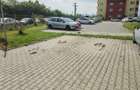 Duplex 3 camere pe doua niveluri cu o suprafata de 100 m2 - 5