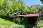 Dambovicioara, Jud. Arges - 5