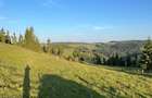 50 hectare teren | Moldova-Sulita | Potential turistic si agricol