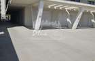 Spatiu comercial Zona Mamaia Nord - 3