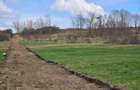 Teren 1000mp extravilan Dealul Fanatelor investitie Cluj - 1