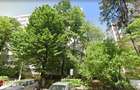 teren cu toate campurile - 2