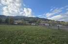 Teren intravilan loc. Stulpicani - 3