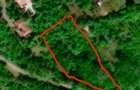 Teren intravilan 5.000 mp de vanzare Valea Domneasca, Ghioroc - 2