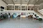 Spatiu Comercial ,ZONA Centura,E 85,Auto Sima,420 mp - 15