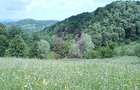 Teren intravilan de vanzare in Telega - 17