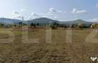 Teren 49 Ari, partial intravilan 13 ari, cu deschidere la DN - Bistrita (Bistrita-Nasaud) - 3