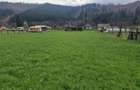 Vindem teren in Vatra Moldovitei - Bucovina - 2