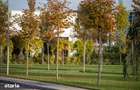 2 Camere Open-Space | 54 mp | West Avenue Residence