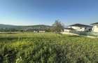 Teren de vanzare Bistrita 40 ari (4000mp) - 6