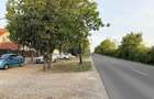 Teren 600 mp de vanzare in Paleu | Str. Principala - 4