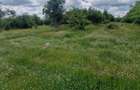 0% Comision!!! Teren intravilan Smeura - str Prunilor! - 4