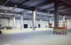 Spatiu de depozitare si productie centru logistic Stefanestii de Jos - 3