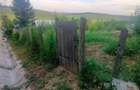 Teren intravilan in loc. Buznea - 4