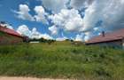 Teren intravilan 3.834 mp Babutiu - Vultureni | Panorama superba | Ideal casa + investitie prin parcelare la mai putin de 20 km de Cluj-Napoca - 4