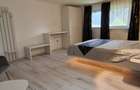 Vila 640mp utili Zarnesti Piatra Craiului - 8