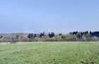 Teren intravilan, 7838 mp, cu priveli?te superba spre m... - 8