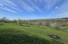 Teren extravilan 2500 mp Izvoarele Jud . Prahova - 6