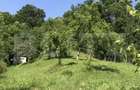 Teren intravilan | Suprafata 1000mp | Ideal constructie | Comuna Baban