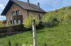 Teren 53 Ari,Unirea,Parcelabil - 3