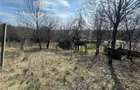 Teren Parcelabil I 11400 MP I Corpadea