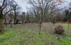 Apartament cu 5 camere de vanzare in Deta, zona Central - 6