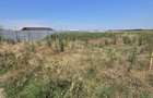 Vand teren intravilan - 3