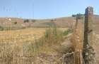 Teren intravilan 2000mp, Sat Goruni, com. Lipnita, jud. Constanta - 4